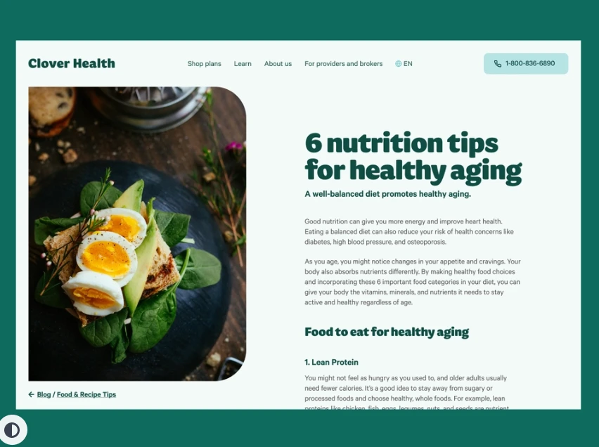 Health Blogging Niche